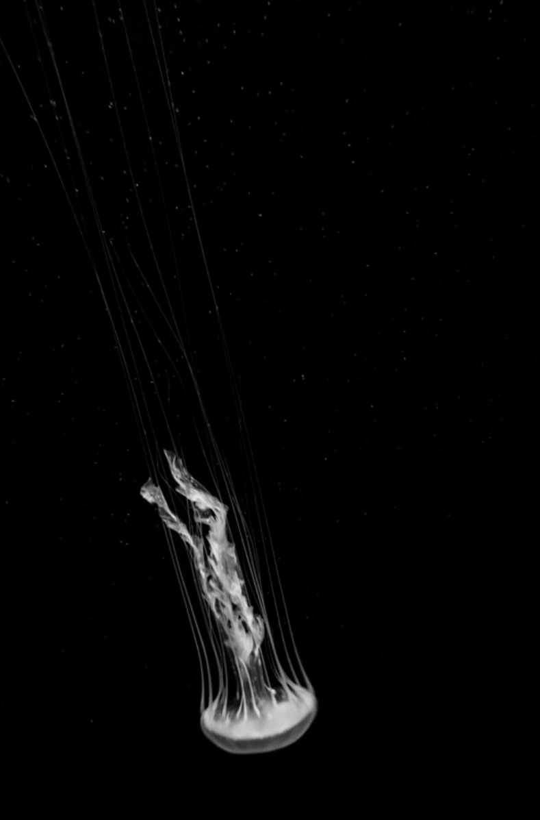 Dancer under water_3
